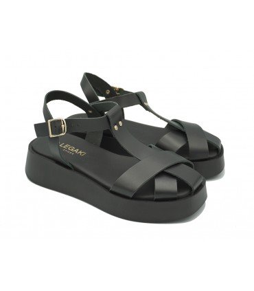BIGONIA BLK