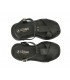 BIGONIA BLK