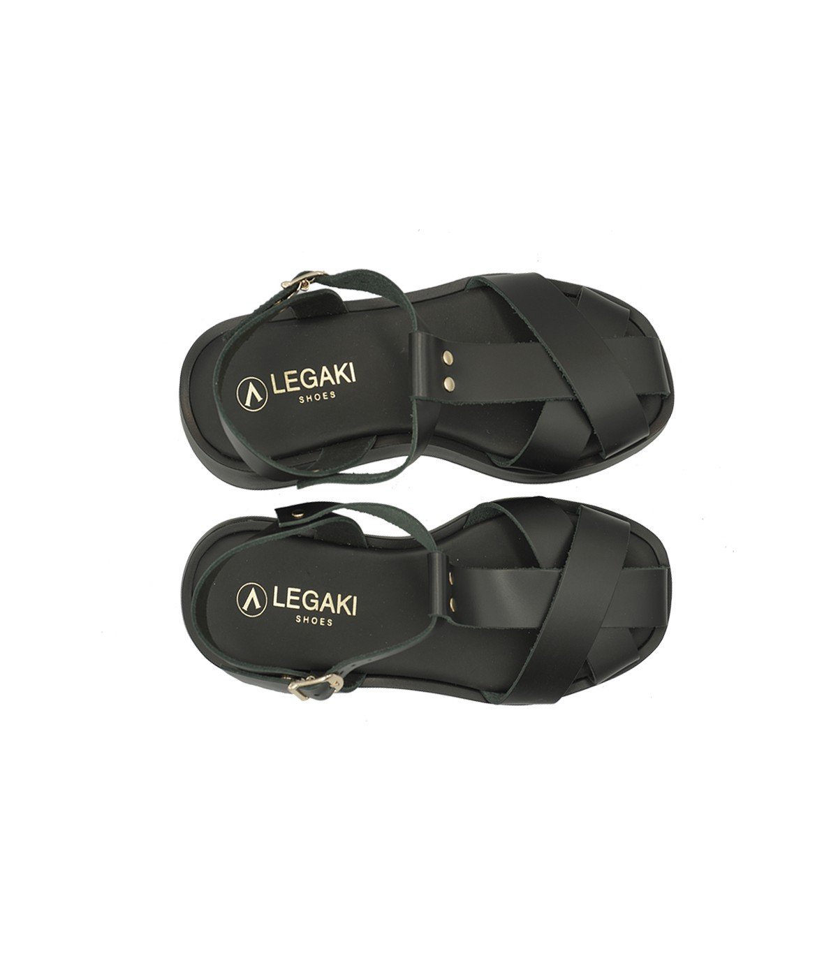 BIGONIA BLK