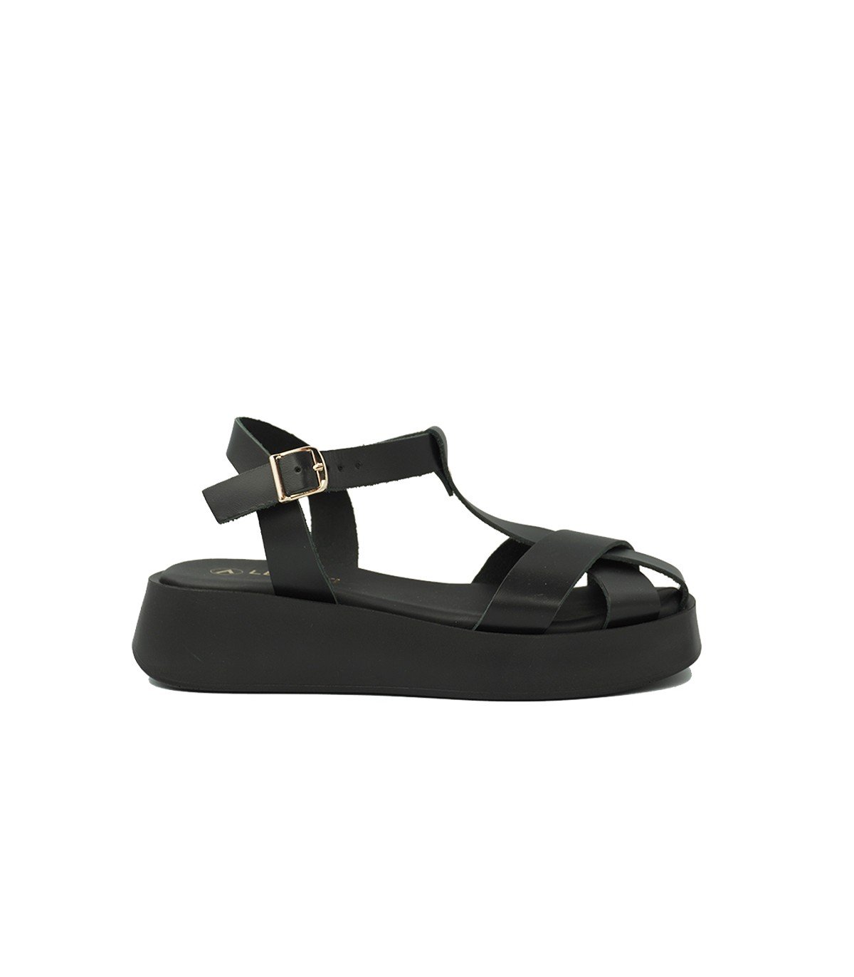 BIGONIA BLK