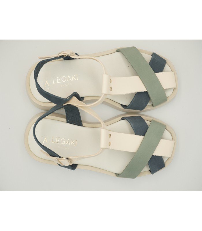 BIGONIA BLUE WHITE