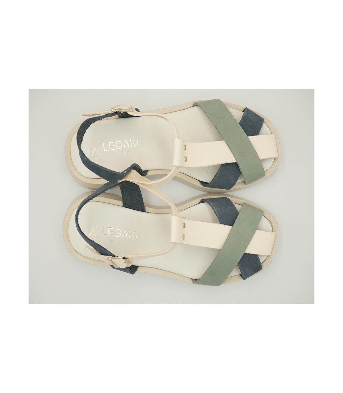 BIGONIA BLUE WHITE