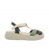 BIGONIA BLUE WHITE