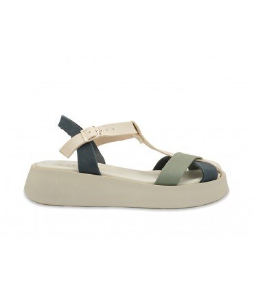 BIGONIA BLUE WHITE
